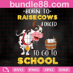 Born To Raise Cows Forced To Go To School Svg, Back To School Svg, Cow Svg, Raise Cow Svg, School Svg, Love Cow Svg, 100 Days Of School Svg