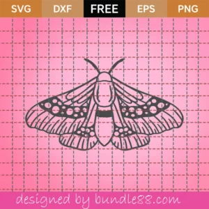 Free Moth Svg