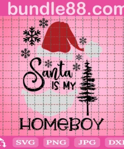 Santa Is My Homeboy Svg, Santa Face Svg, Christmas Cut Files, Santa Clipart, Funny Quote Svg, Baby Svg, Kids Shirt Design, Silhouette Cricut