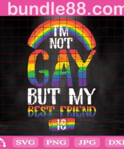 I Am Not Gay But My Best Friend