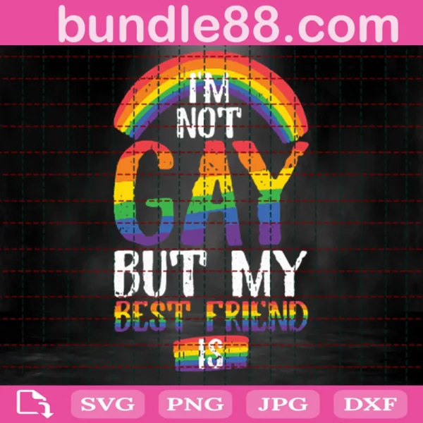 I Am Not Gay But My Best Friend