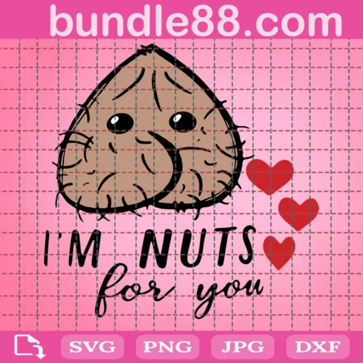 I'M Nuts For You, Funny Sack, Valentine Day
