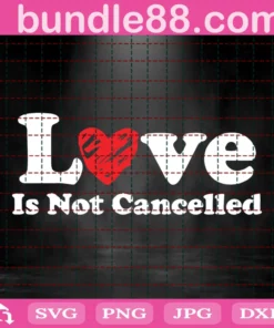Love Is Not Cancelled, Heart, Valentines Day Valentine Shirt Couple