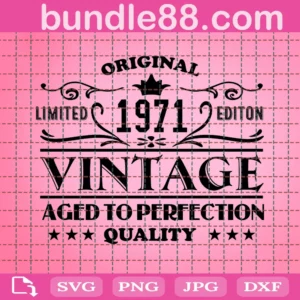 1971 Aged To Perfection Birthday Vintage Svg