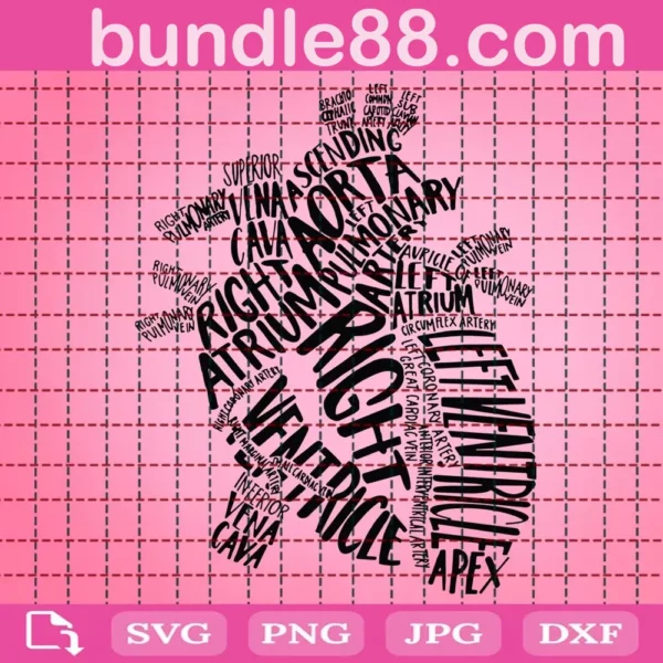 Anatomical Heart Svg