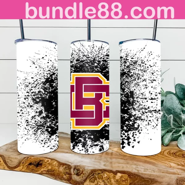 Bethune-Cookman Wildcats 20oz Skinny Tumbler