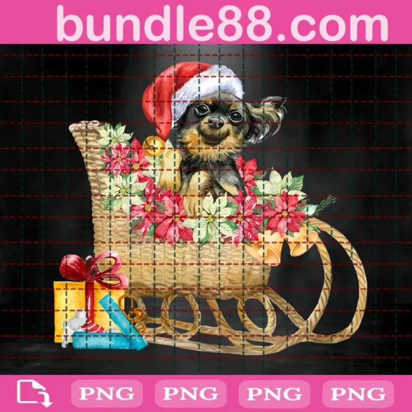 Christmas Chihuahua Png