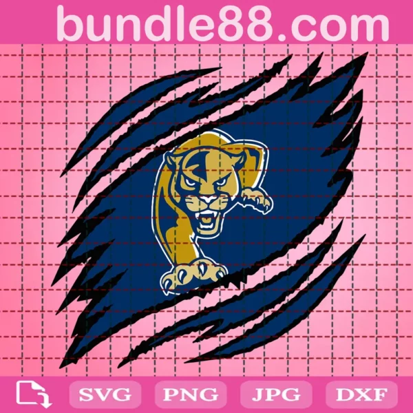 Fiu Panthers Claws Svg