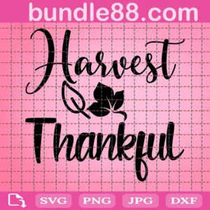 Harvest Thankful Svg