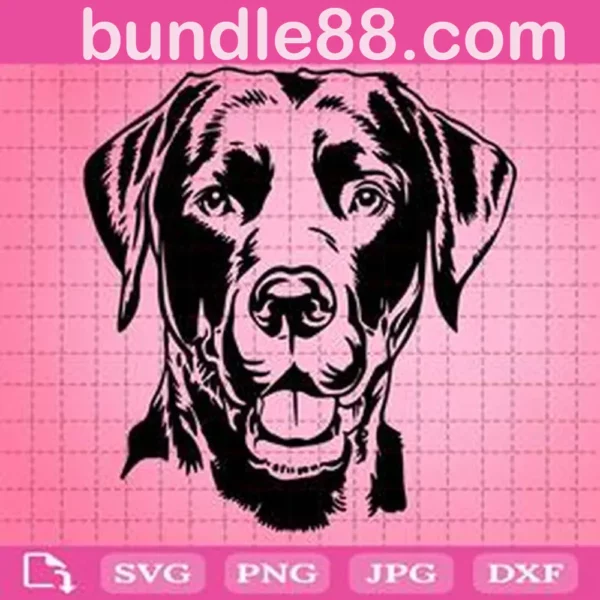 Labrador Dog Svg