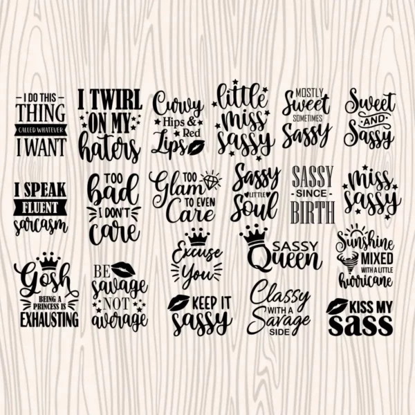 Funny Girl Sarcastic Quote png Bundle