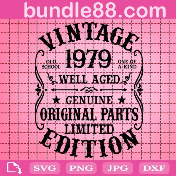 Vintage 1979 Custom Svg