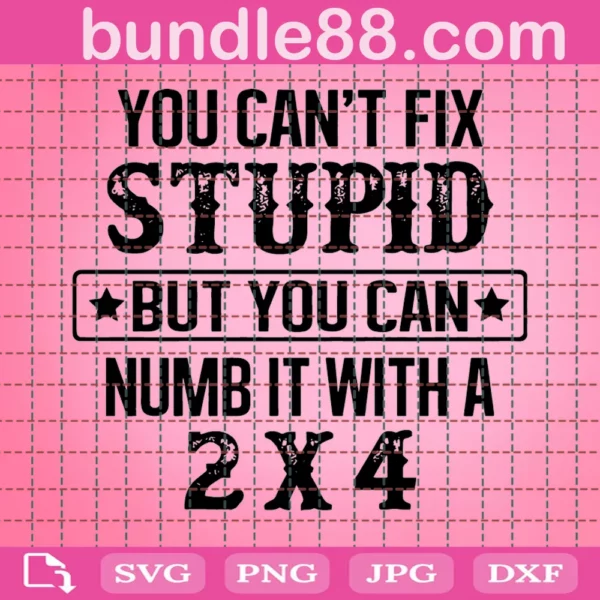 You Can Not Fix Stupid But You Can Numb It With A 2 X 4 Svg